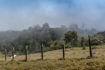 Fototapeta na wymiar The rainforest in Volkan Baru National Park, Panama