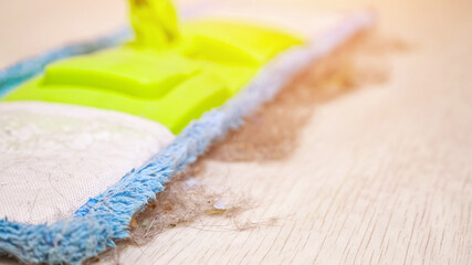 Contemporary colorful soft mop and shreds of fur, dust and wool on wooden floor in light room during regular tidying up close-up