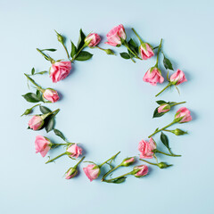 Border frame made with roses, pink flower buds and leaves isolated on pastel blue background. Minimal spring bloom concept. Valentine's day or Women's day card with copy space. Flat lay, top view.