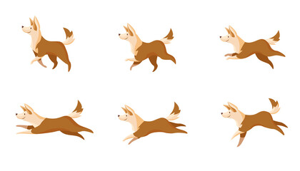 Fast or slow dogs movement set. Side view of cartoon pet walking or running isolated on white background. Vector illustration for training, canine, domestic animals concept