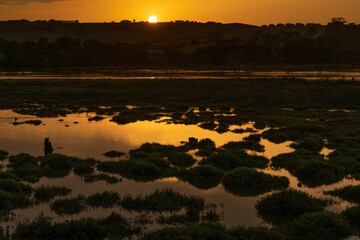 Naklejka premium Oyambre Natural Park at sunset in Cantabria, North of Spain.