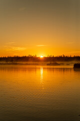 Sunrise panoramic view of the swamp in the early summer morning