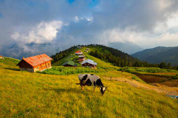 Kackar mountains and Kaçkar plateaus.