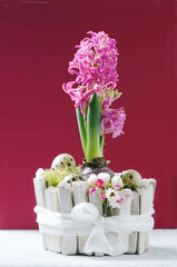 Easter composition with spring flowers, eggs and nest. Easter concept with copy space.