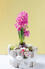 Easter composition with spring flowers, eggs and nest. Easter concept with copy space.