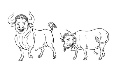 Funny bull and cow. Funny farm animals. Template for children to paint.