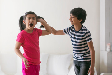 brother teasing his sister by pulling her hair 	