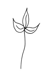 Cute hand drawn forest leaf, branch. Traditional leaves in ink, doodle style for wedding decoration and arrangements.Hand-drawn branches with three leaves in doodle style. Vector illustration. 