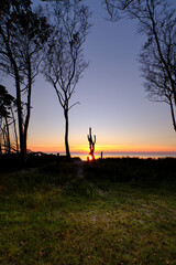 Fototapeta na wymiar Lichtstimmung am Abend am Darßer Weststrand, Nationalpark Vorpommersche Boddenlandschaft, Mecklenburg Vorpommern, Deutschland