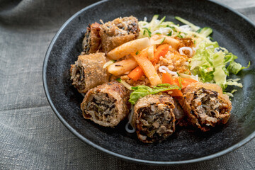 ベトナム料理　ビーフンと揚げ春巻き