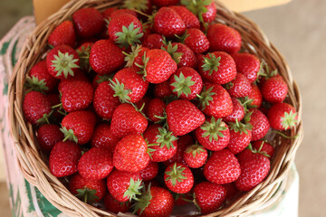 Sweet fresh red strawberries from farm, ripe strawberry fruit in white basket,  organic fruit from field.