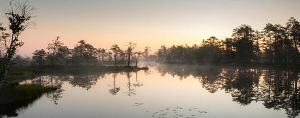 The the fog clad pristine bog lake in Luitemaa Nature reserve Estonia with the dawn colors in sky...
