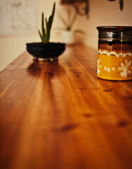 plant detail in spa and relaxation