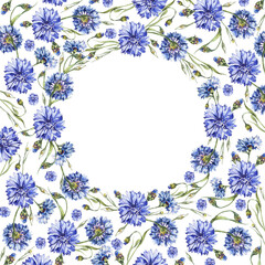 1: 1 floral background made of blue watercolor cornflowers and a white circle in the center on an isolated background