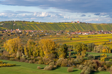 Obraz premium Weinberge an der Volkacher Mainschleife und die Weinorte Escherndorf und Nordheim am Main an der Weininsel und die Mainaue, Landkreis Kitzingen, Unterfanken, Bayern, Deutschland