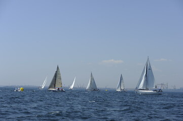Obraz premium Sailboats on the day of a competition.