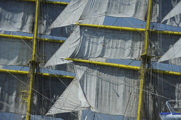 Sailboats on the day of a competition.