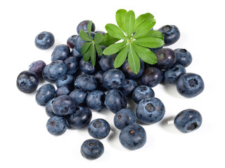 Blueberries with Woodruff on white Background Isolated