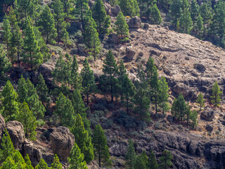 Der Blick von einem  Plateau  in die Weite dieser Landschaft	
