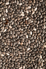 Chia seeds, a source of omega 3 acids. Texture.