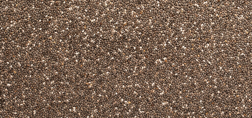 Chia seeds, a source of omega 3 acids. Texture.