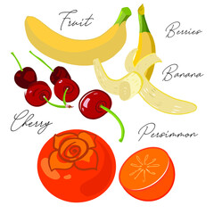 Fruits, berries, banana, persimmon, cherry, stylized, simplified for logo, design, backgrounds, patterns. Vector illustration, handmade, full color.