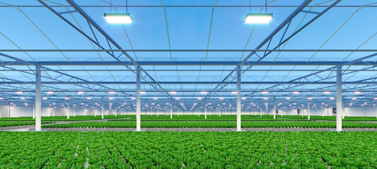 Big industrial greenhouse interior. Hydroponic indoor vegetable plant factory. Green salad farm. Concrete floor. 3D render