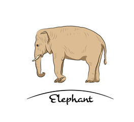 Walking elephant.Hand made.