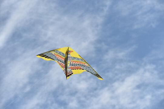 Kite in the air with a blue background.