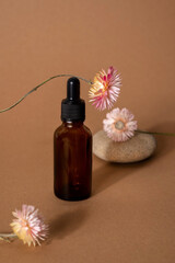 Brown glass bottle dropper with cosmetic oil with pink dry flowers on terracotta background, closeup.