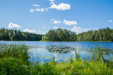 View of The Saarilampi Pond in summer, Nuuksio National Park, Espoo, Finland