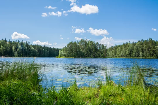 Le Parc National de Nuuksio - Adobe Stock