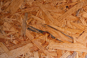texture of wooden OSB board in the detail
