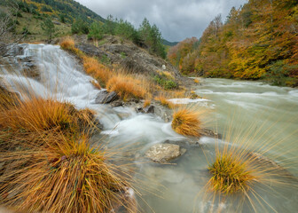 Ravine of Petraficha, Zuriza, western valleys, Pyrenean mountain range, province of Huesca, Aragon,...