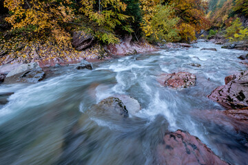 Aragón Subordán river, Selva de Oza, Valley of Hecho, western valleys, Pyrenean mountain range,...
