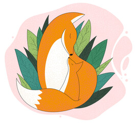 Isolated Fox and her cub