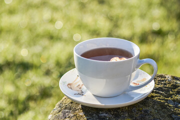 Hot tea cup on a frosty winter day put on big stone table with background of front garden in morning.