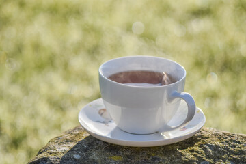 Hot tea cup on a frosty winter day put on big stone table with background of front garden in morning.