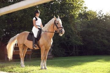 Young woman in equestrian suit riding horse outdoors on sunny day. Beautiful pet
