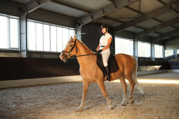 Young woman in equestrian suit riding horse indoors. Beautiful pet