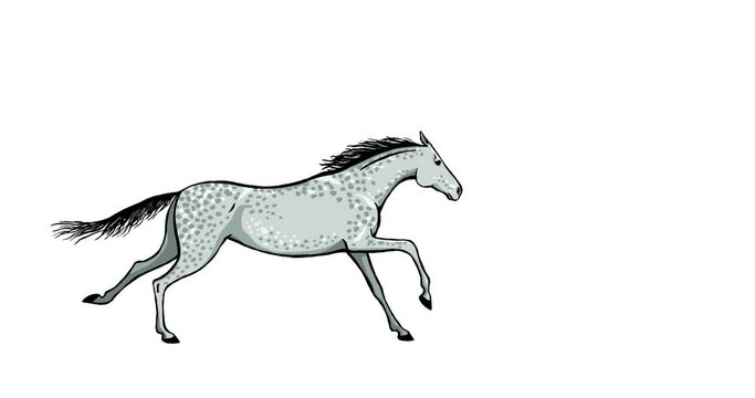 Galloping dapple grey horse seamless loop. Animated hand drawn mustang silhouette cartoon running equine motion. Alpha channel isolated transparency 4K