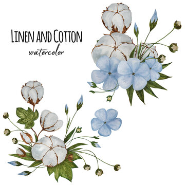 Two watercolor compositions with Linen flowers and cotton bolls.