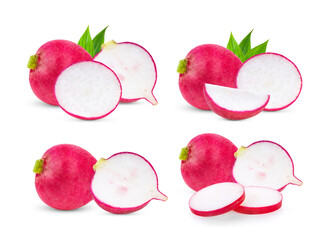 fresh radish on white background