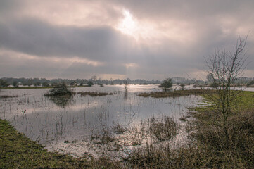 high water in Meinerswijk, Arnhem