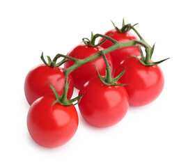 Branch of fresh cherry tomatoes isolated on white
