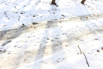 
The icy road runs through the forest
