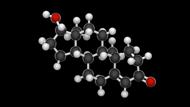 Molecular structure of Testosterone - steroid hormone from the androgen group. C19H28O2. Seamless loop. Isolated and rotating on black background + transparent channel (alpha channel).