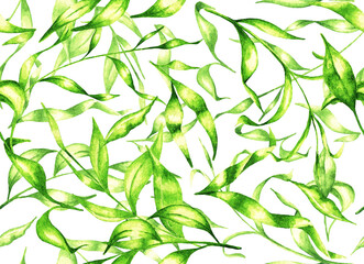 Leaves set. Seamless pattern. Watercolor (2)
