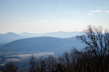 Fototapeta na wymiar A view of the Blue Ridge Mountains through the trees 