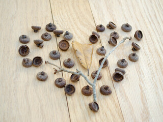 A heart made of acorn caps on oak wood
